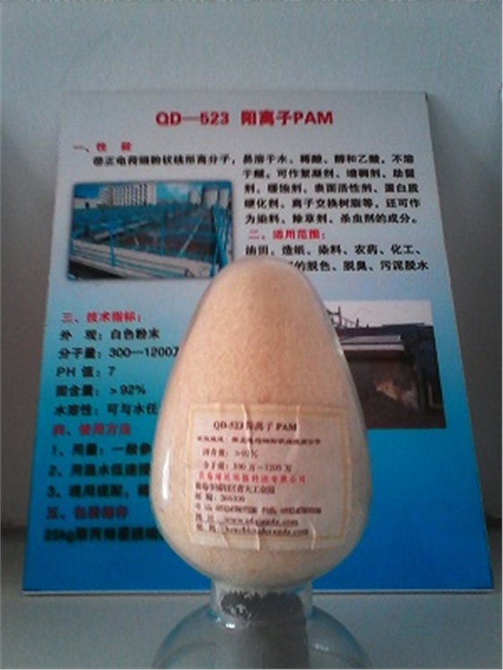 陽離子聚丙烯酰胺 陽離子聚丙烯酰胺