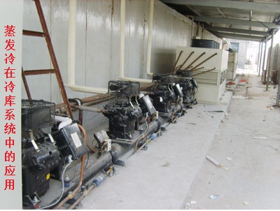 蒸發(fā)冷應(yīng)用于冷庫系統(tǒng) 蒸發(fā)冷應(yīng)用于冷庫系統(tǒng)