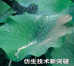 超分子膜化仿荷葉膜去污 超分子膜化仿荷葉膜去污