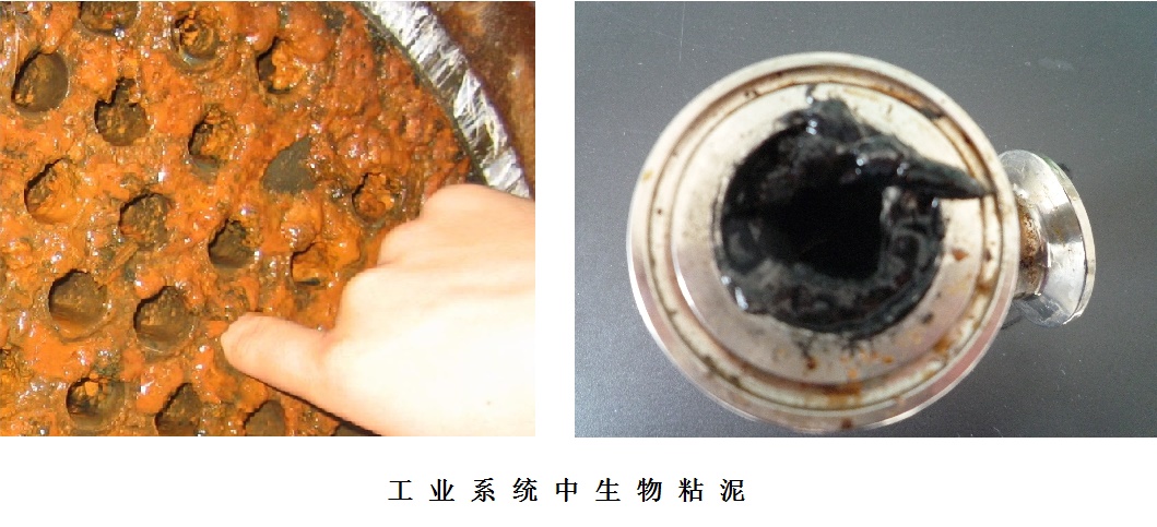 工業系統粘泥污垢 工業系統粘泥污垢
