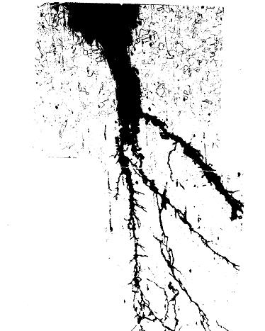 氯化物應力腐蝕 氯化物應力腐蝕