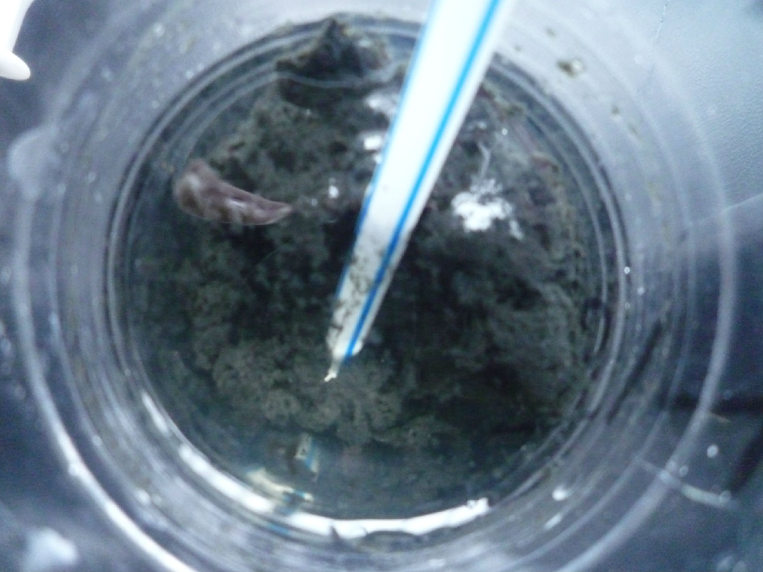 PAM絮凝效果圖片